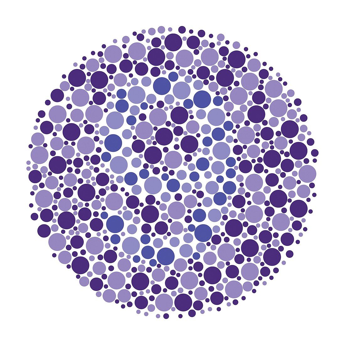 Color Blindness Test